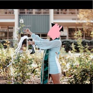 Sky Dressdenisse Chiffon Sheer Sleeve 